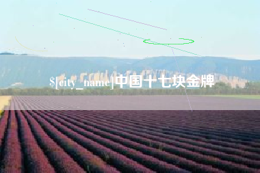 海宁中国十七块金牌