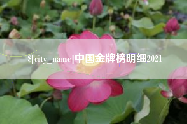 海宁中国金牌榜明细2021