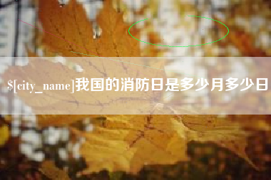 海宁我国的消防日是多少月多少日