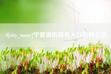 海宁宁夏消防报名入口官网公告