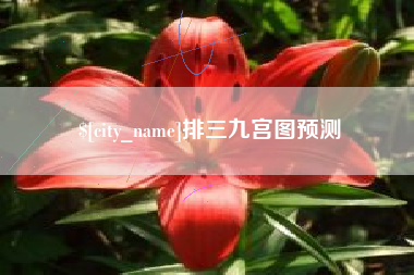 海宁排三九宫图预测