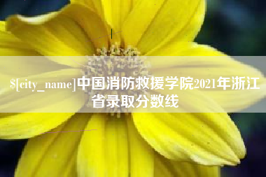 海宁中国消防救援学院2021年浙江省录取分数线