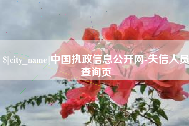海宁中国执政信息公开网-失信人员查询页