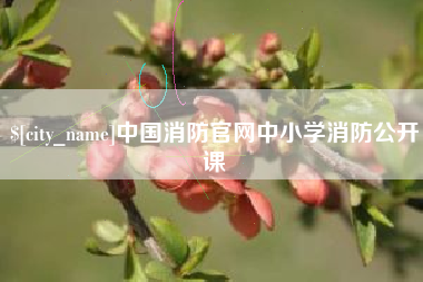 海宁中国消防官网中小学消防公开课