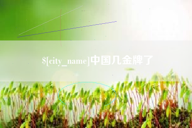 海宁中国几金牌了