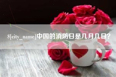 海宁中国的消防日是几月几日？