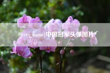海宁中国冠军头像图片