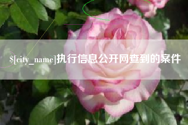 海宁执行信息公开网查到的案件