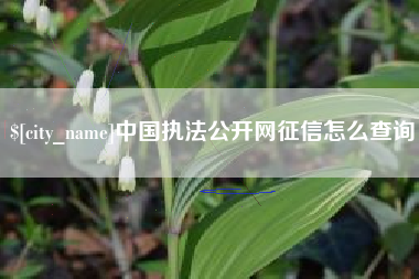 海宁中国执法公开网征信怎么查询