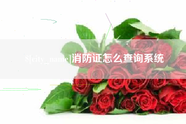 海宁消防证怎么查询系统