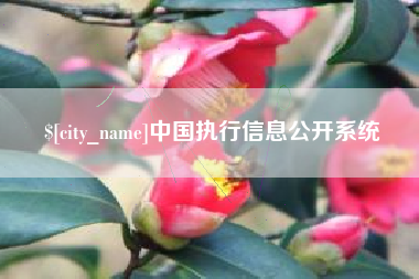 海宁中国执行信息公开系统