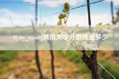 海宁消防大学分数线是多少