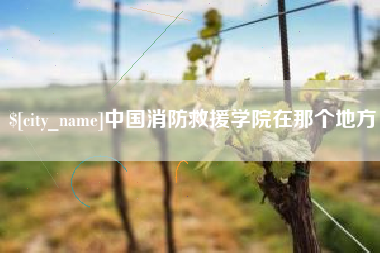 海宁中国消防救援学院在那个地方