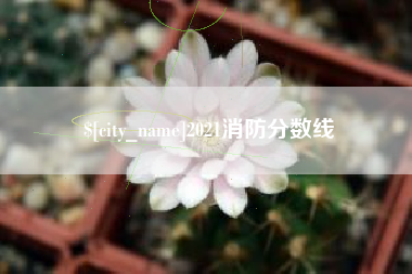 海宁2021消防分数线