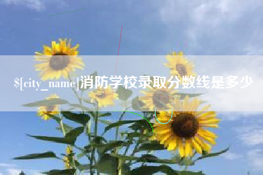 海宁消防学校录取分数线是多少