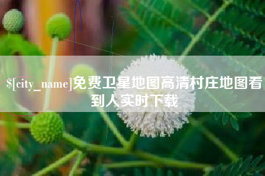 海宁免费卫星地图高清村庄地图看到人实时下载