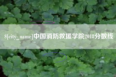 海宁中国消防救援学院2018分数线