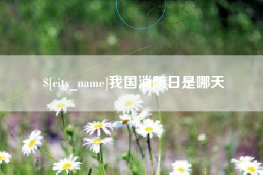 海宁我国消防日是哪天