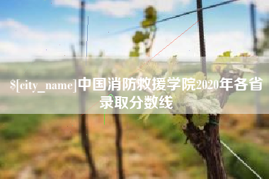 海宁中国消防救援学院2020年各省录取分数线