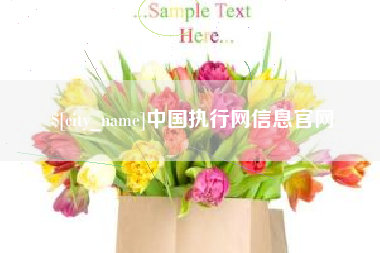 海宁中国执行网信息官网