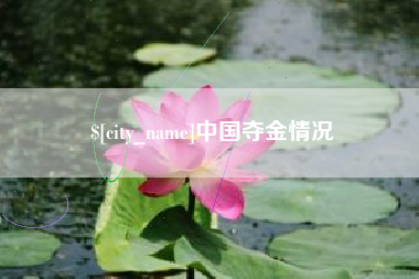 海宁中国夺金情况