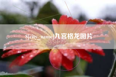 海宁九宫格龙图片