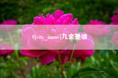 海宁九金是谁
