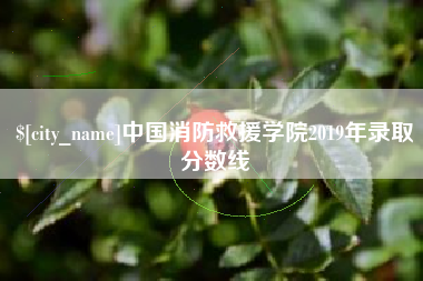 海宁中国消防救援学院2019年录取分数线