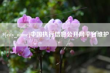 海宁中国执行信息公开网平台维护