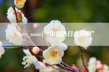 海宁“中国执行公开网”