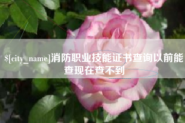 海宁消防职业技能证书查询以前能查现在查不到