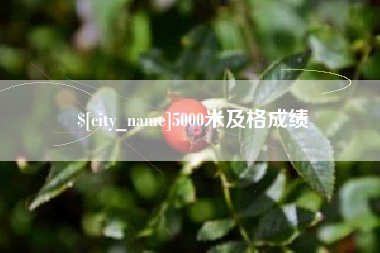 海宁5000米及格成绩