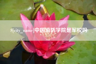 海宁中国消防学院是军校吗
