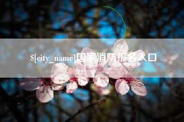 海宁国家消防报名入口
