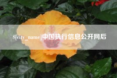 海宁中国执行信息公开网后