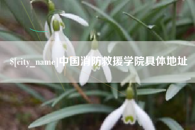 海宁中国消防救援学院具体地址