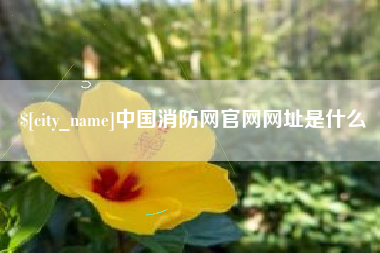海宁中国消防网官网网址是什么
