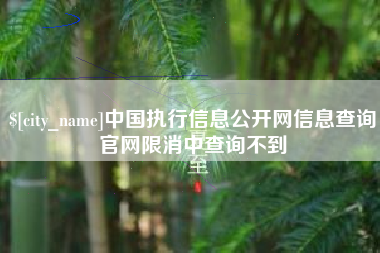 海宁中国执行信息公开网信息查询官网限消中查询不到