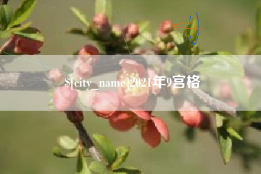 海宁2021年9宫格