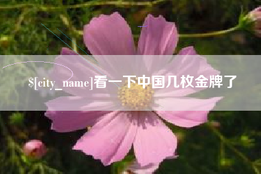 海宁看一下中国几枚金牌了