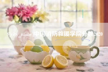 海宁中国消防救援学院分数2020