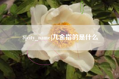 海宁九金指的是什么
