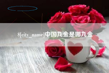 海宁中国九金是哪九金
