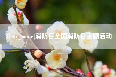 海宁消防日全国消防日主题活动