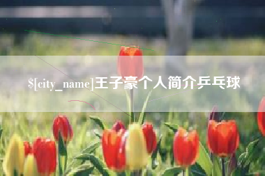 海宁王子豪个人简介乒乓球