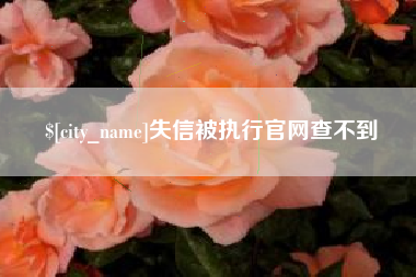 海宁失信被执行官网查不到