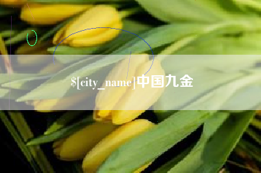 海宁中国九金