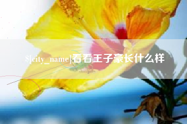 海宁看看王子豪长什么样