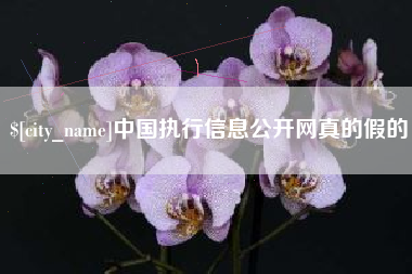 海宁中国执行信息公开网真的假的