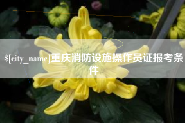 海宁重庆消防设施操作员证报考条件